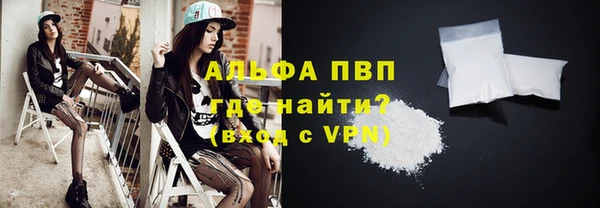 стаф Беломорск