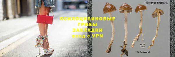 дурь Белоозёрский