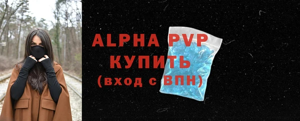 стаф Беломорск