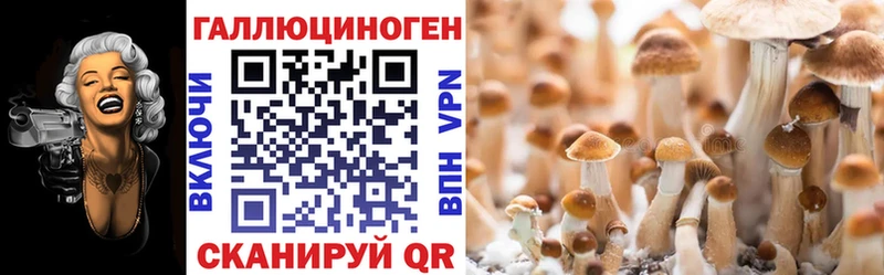 Псилоцибиновые грибы GOLDEN TEACHER  Володарск 